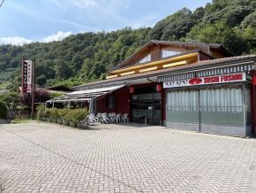 Hayashi Sushi Fusion