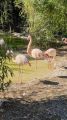Faunistic Park Le Cornelle 